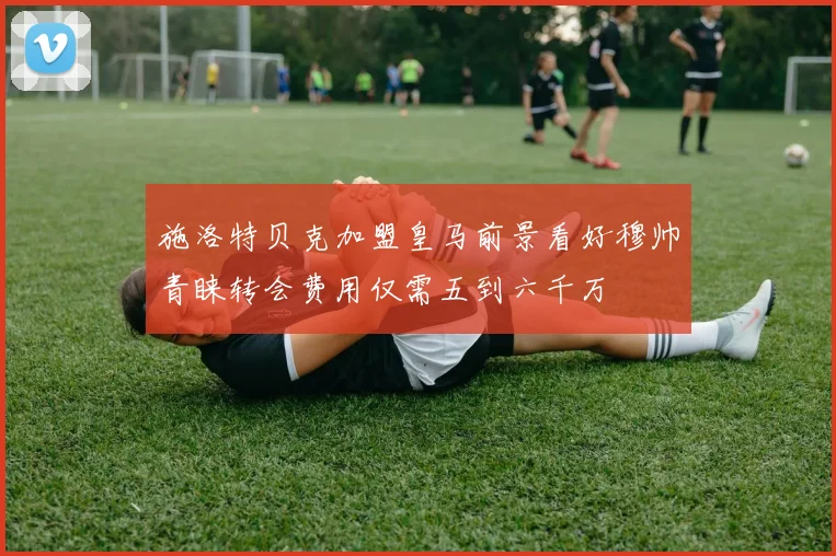 施洛特贝克加盟皇马前景看好穆帅青睐转会费用仅需五到六千万