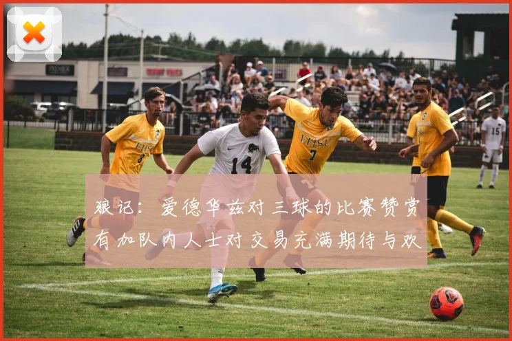狼记：爱德华兹对三球的比赛赞赏有加队内人士对交易充满期待与欢欣